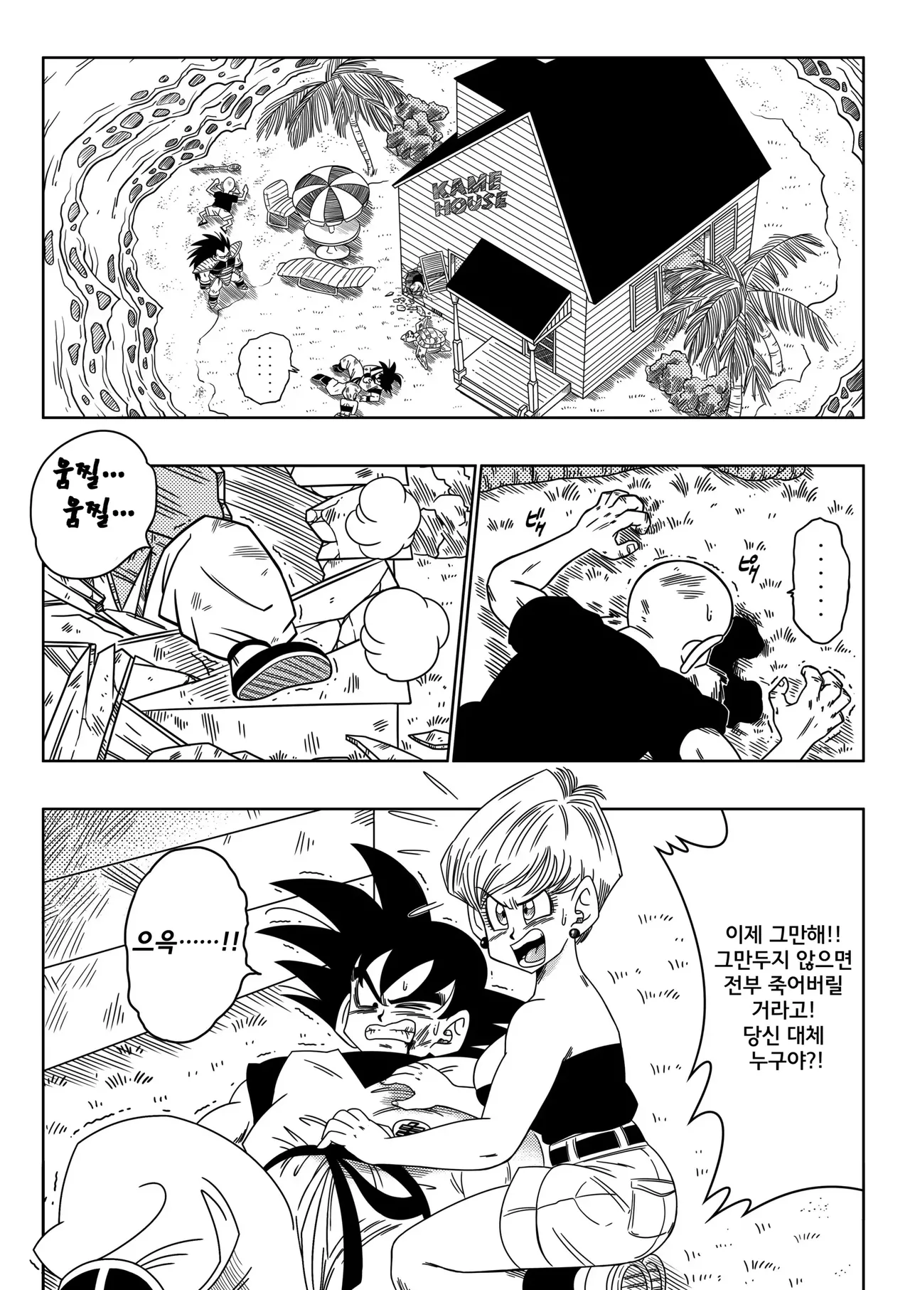 Warui Aniki - Bulma ga Yuukai Sareta! | 나쁜 형님 - 부르마가 유괴당했다! page 3 full