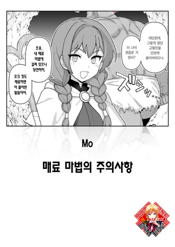 [Mo] Miryou Mahou no Chuuijikou | 매료 마법의 주의사항 [Korean] [Team Edge] cover