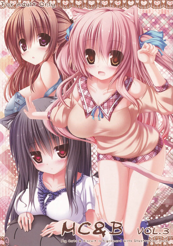 (C82) [Fukuneko Mofumofu (Syroh)] My Cats & Biscuit Vol.3 cover