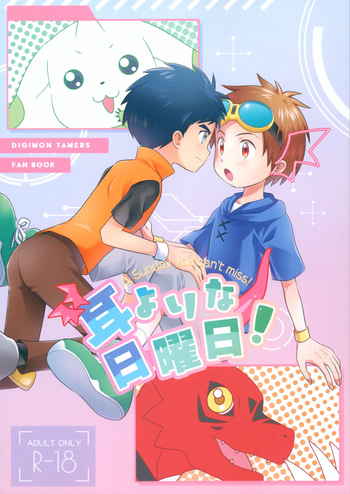 [Hyouchuuka (Hiwa)] Mimiyori na Nichiyoubi! (Digimon Tamers) cover