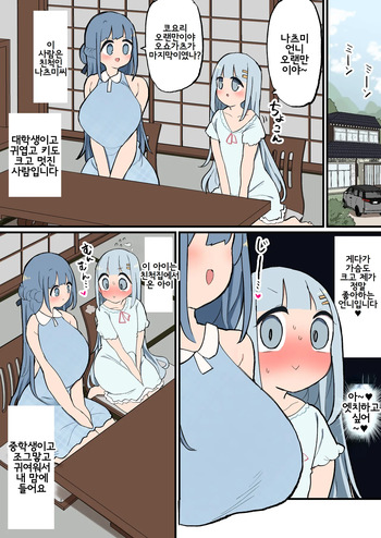 [Momomo] Shinseki no Futanari-chan Daisuki Onee-san to Guchogucho Ecchi Futanari-chan [korean] cover
