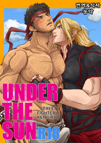 [Rissuinoti (Tentenkingyo)] UNDER THE SUN (Street Fighter) [Korean] [Digital] cover