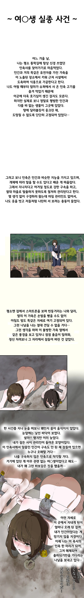 [fest] 여고생 실종사건 [Korean] cover