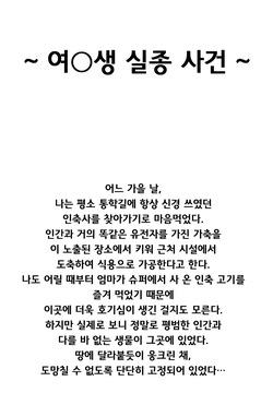 여고생 실종사건