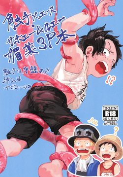 Shokushu × Ace Sabo & Luffy biyaku 3P hon