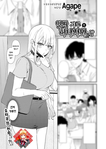 [Agape] Youkyara Gyaru no Hanazawa-san | 인싸 갸루인 하나자와 양 (COMIC Shingeki 2025-03) [Korean] [Team Edge] [Digital] cover