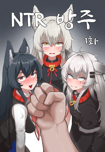 [zommeva] NTR 방주 (Arknights) cover