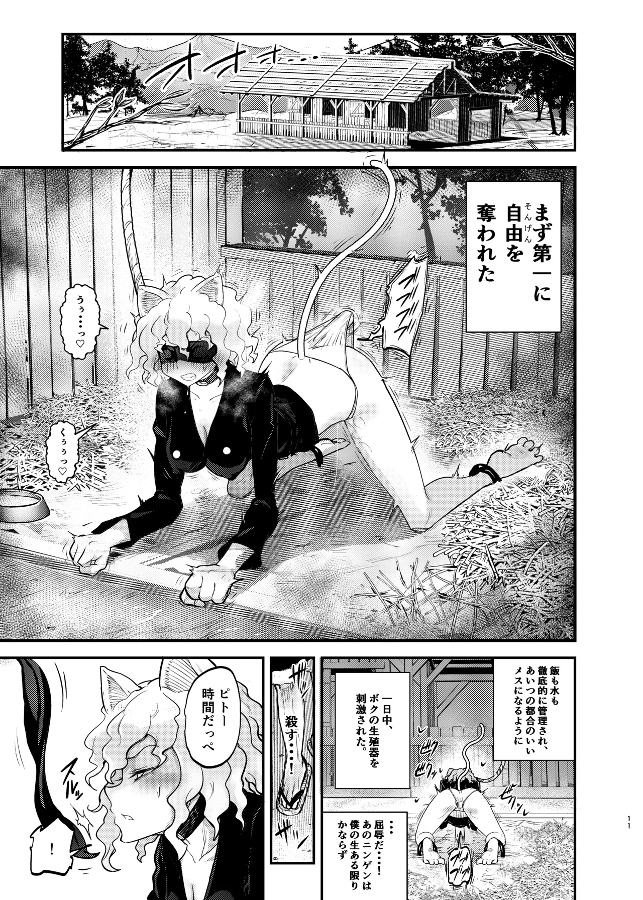 調教師 操作系なんてボク知らない！ page 11 full