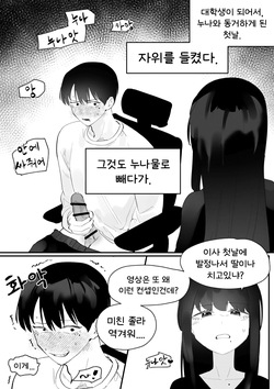 Do-chak NamMae TS | 도착남매 TS