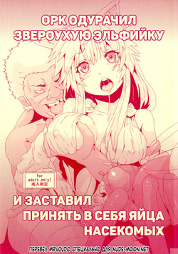 Орк одурачил звероухую эльфийку и заставил принять в себя яйца насекомых / Kodomo Orc ni Damasarete Kyouseiteki ni Mushi ni Sanran Saserareru Kemonomimi Elf