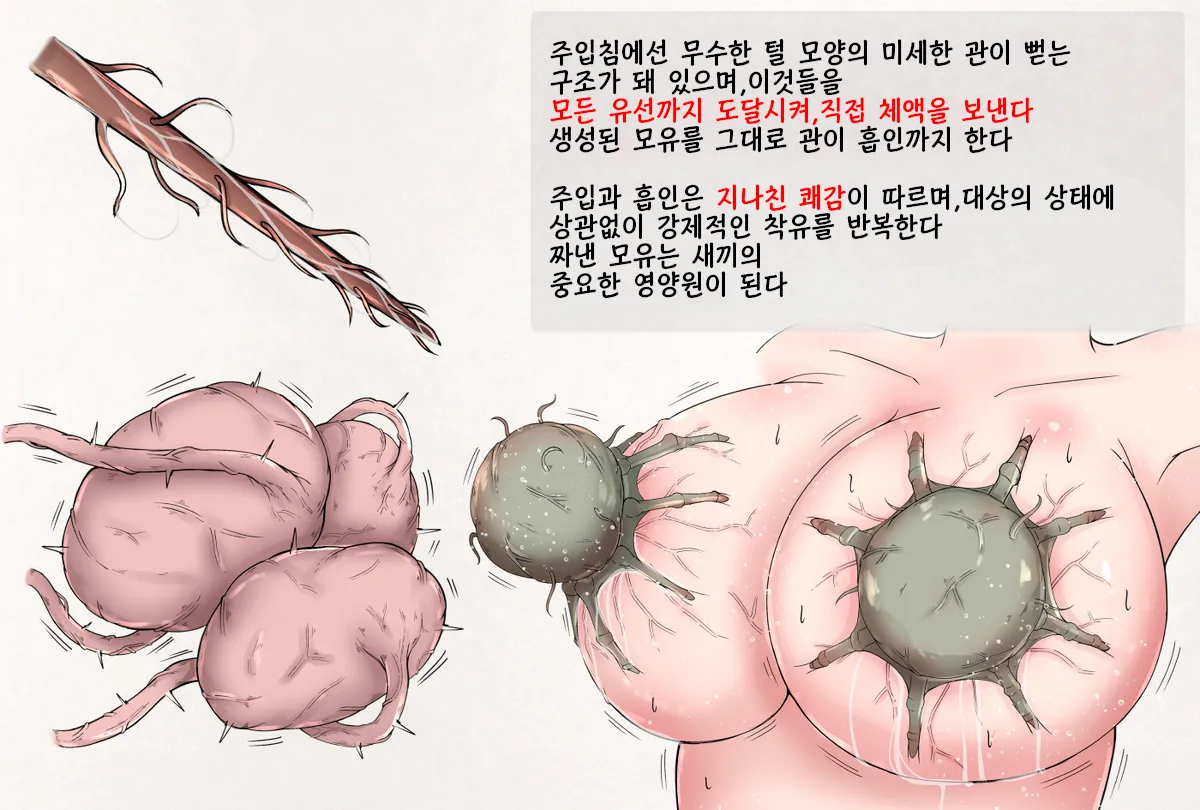 Mushi Research Report EX No.09 page 5 full