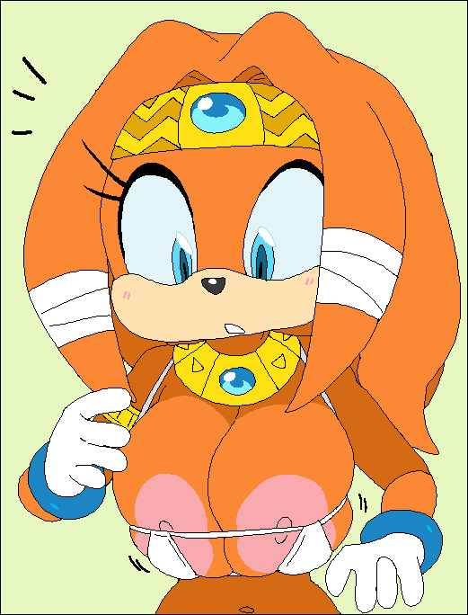 Tikal the Echidna page 5 full