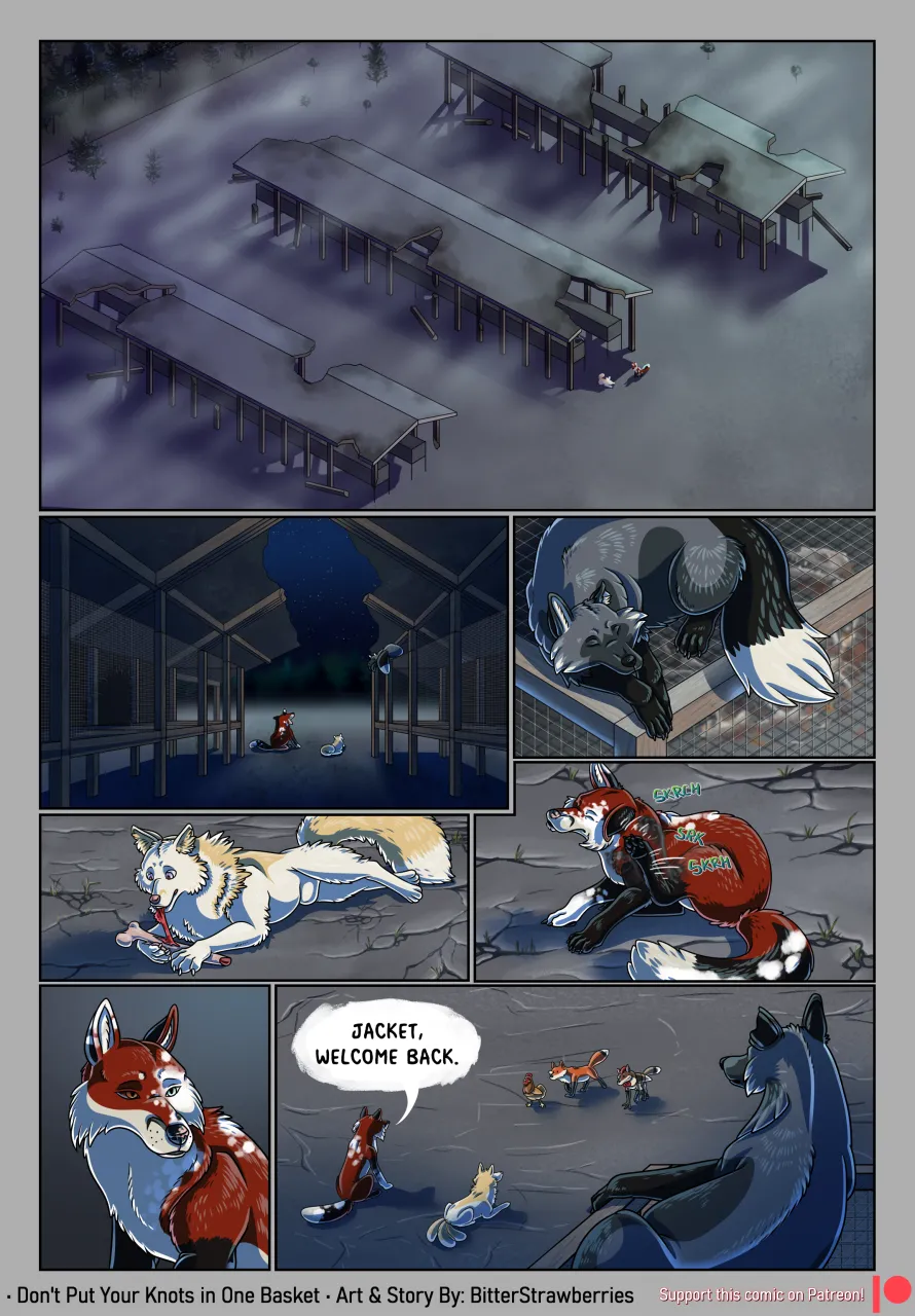 Don't Put Your Knots in One Basket page 8 full