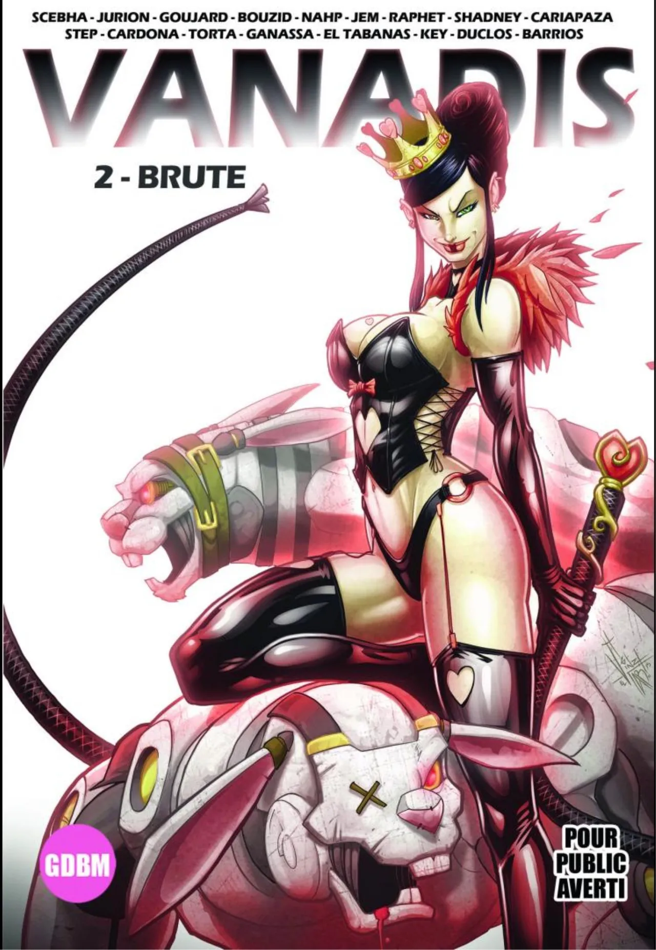Vanadis Tome 02 - Brute page 1 full