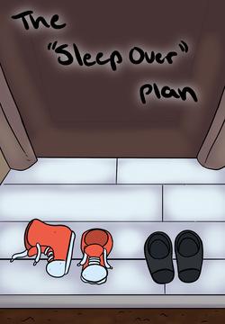 The "Sleepover" Plan
