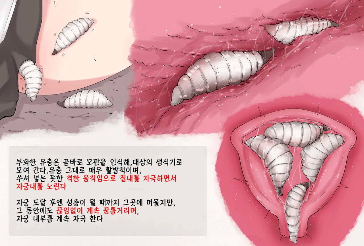 Mushi Research Report EX No.11 page 3 full