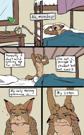 black kitten - Mornings -color cover