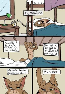 black kitten - Mornings -color