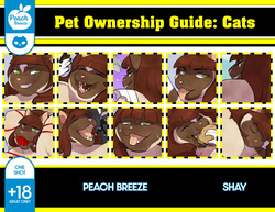 Pet Ownership Guide – Cats