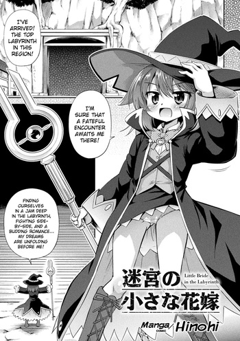 [Hino Hino] Meikyuu no Chiisana Hanayome | Little Bride in the Labrinth (2D Comic Magazine - Shukushouka Heroine Kyousei Onahole Keikaku Vol. 2) [English] [Digital] cover