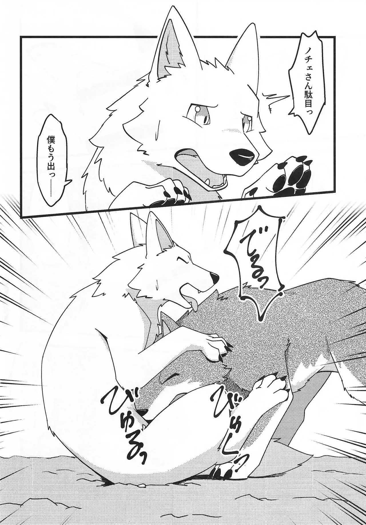 We are at Koilanirma page 11 full
