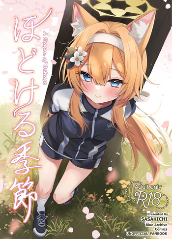 [Dekoponzu (Sasakichi)] Hodokeru Kisetsu - A Season of Release (Blue Archive) [Digital] cover