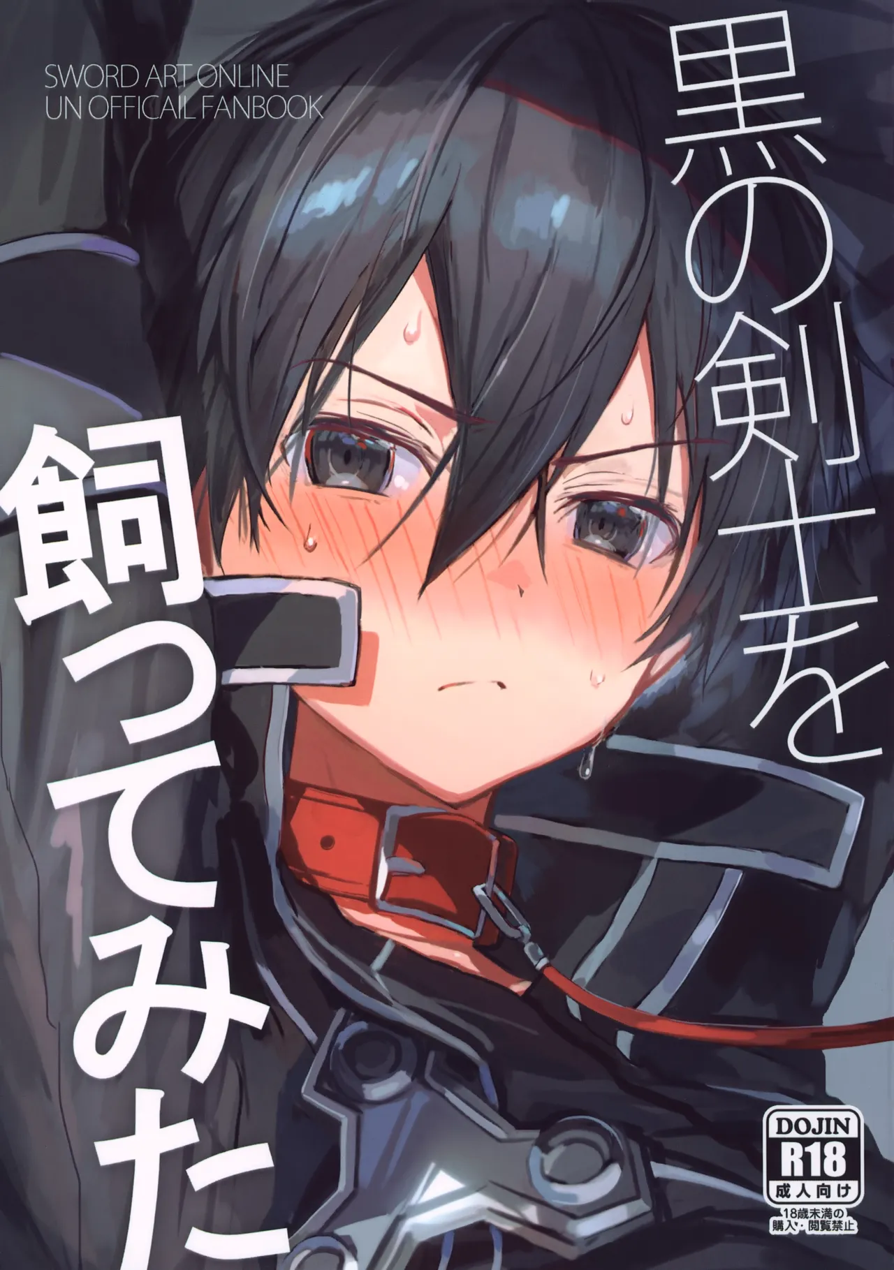 Kuro no Kenshi o Katte Mita page 1 full