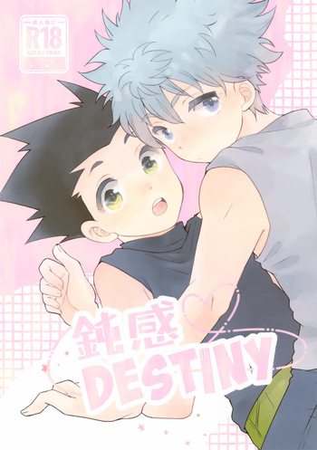 (Re:HUNTER 11) [SHIROZONE (Mizushiro Yuduki)] Donkan DESTINY (Hunter x Hunter) cover