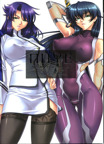 NUYE -Kagami Visual Works- cover