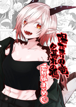 Hidamari no ryuu, yugure no karasu Bangaihen Matome