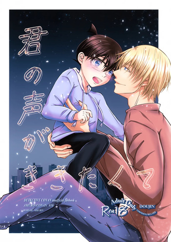 (Zero to Ichi no Kyori Seigan 2025) [Roirabi (Aiki Rin)] Kimi no Koe ga Kikitakute (Detective Conan) cover