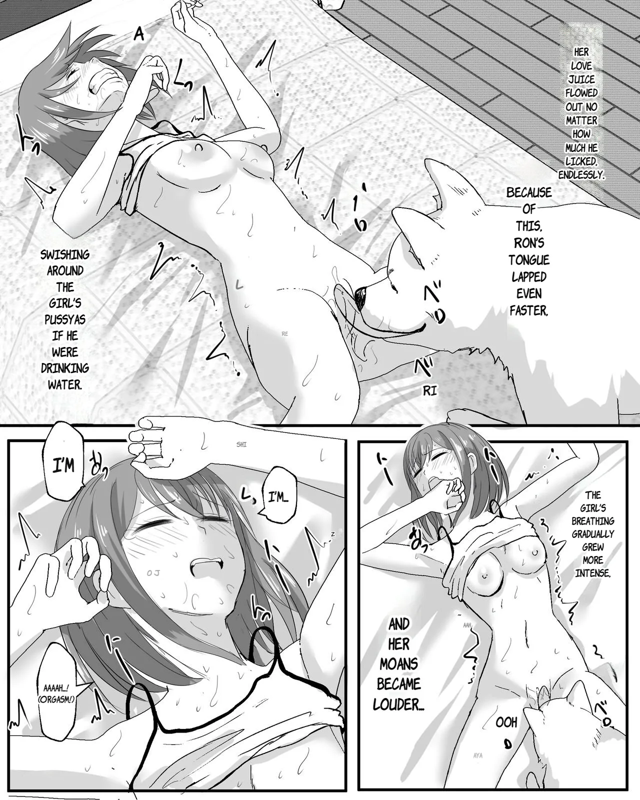 dog well I was sleeping page 11 full
