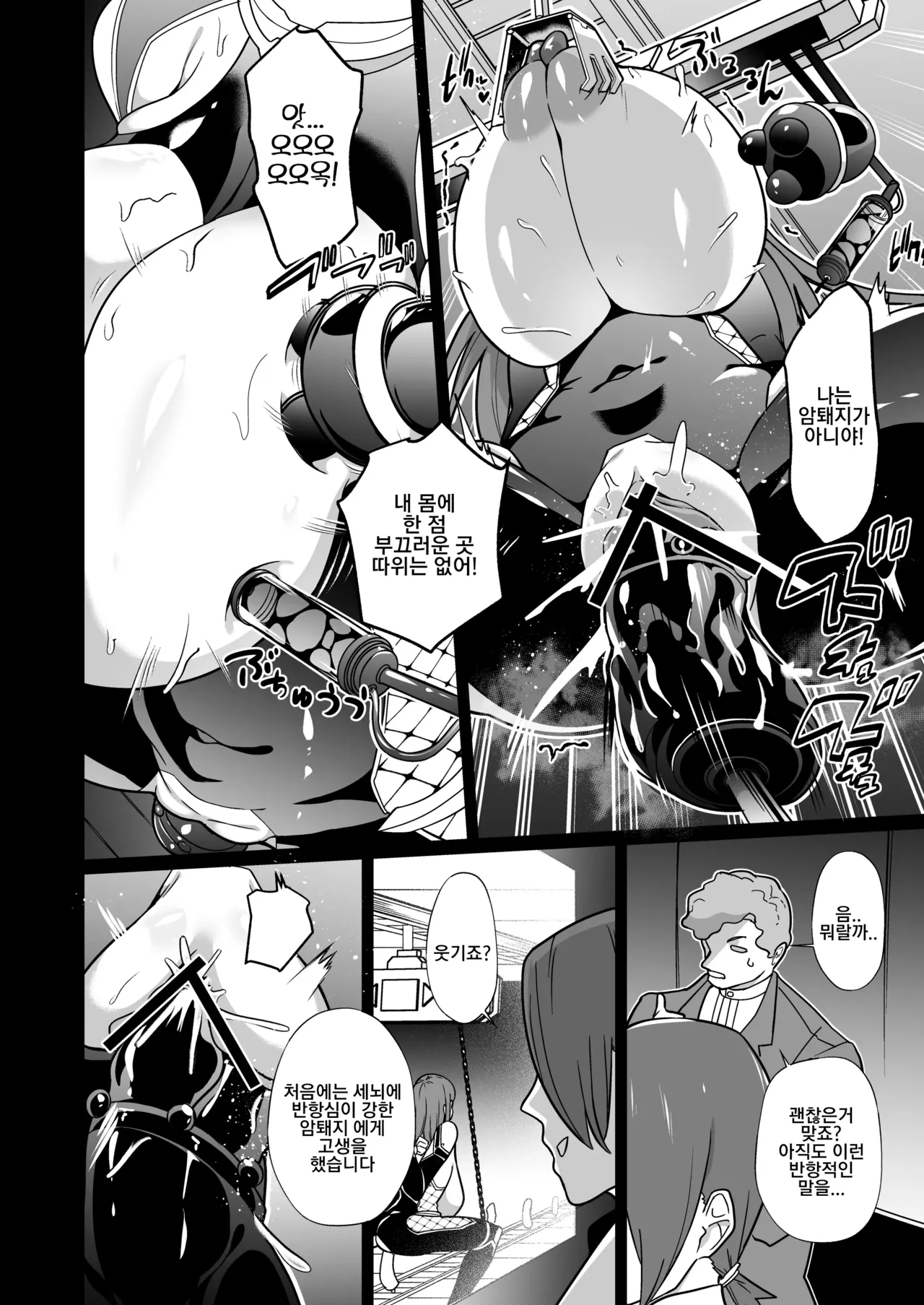 암퇘지 가공 공장 저스티스 다이아 가공기록 page 11 full