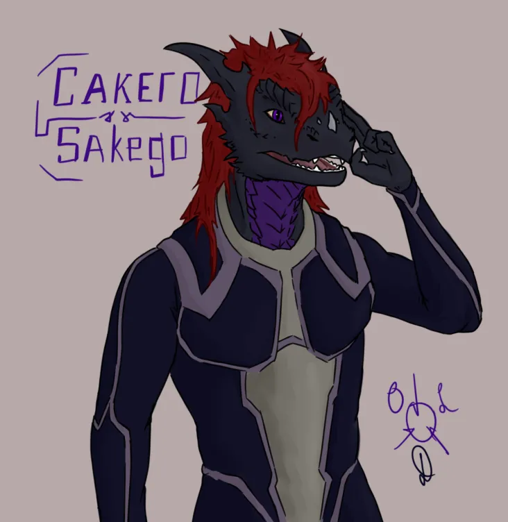 sakego gasdef page 11 full