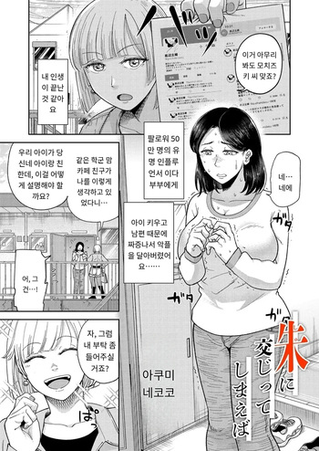 [Akubine Kokoro] 「朱に交じってしまえば」 COMIC Magnum Vol.196 [MTL] [Korean] cover
