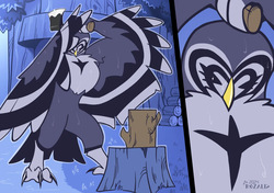 Kinky Owls: Going Wild