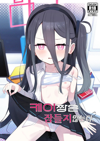 [Touzainanboku (Nishi Yasuaki)] 케이짱은 잠들지 않는다 (Blue Archive) cover