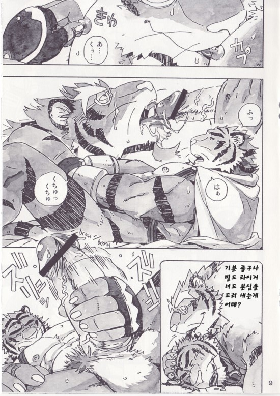 Choujuu Gasshin Build Tiger 5 | 초수합신 빌드 타이거 5 page 11 full