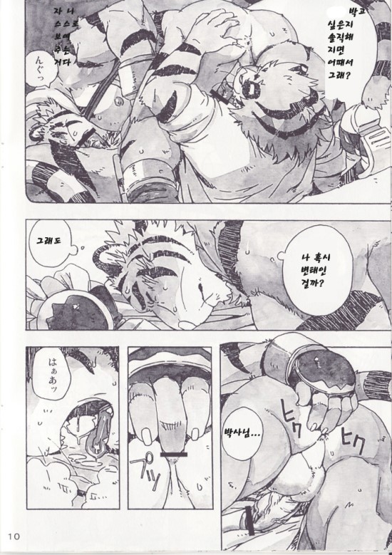 Choujuu Gasshin Build Tiger 5 | 초수합신 빌드 타이거 5 page 12 full