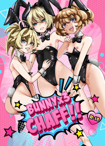 [Goshujinsama no Omochabako (hal)] bunny x 3 chaff(Youjo Senki) cover