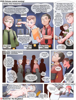 nimbletail The Kingfishers