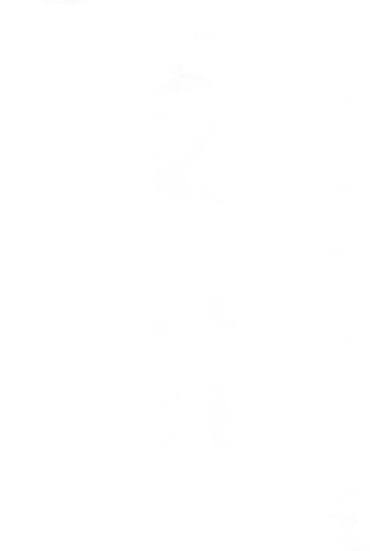 TSF shōto matome hon page 2 full