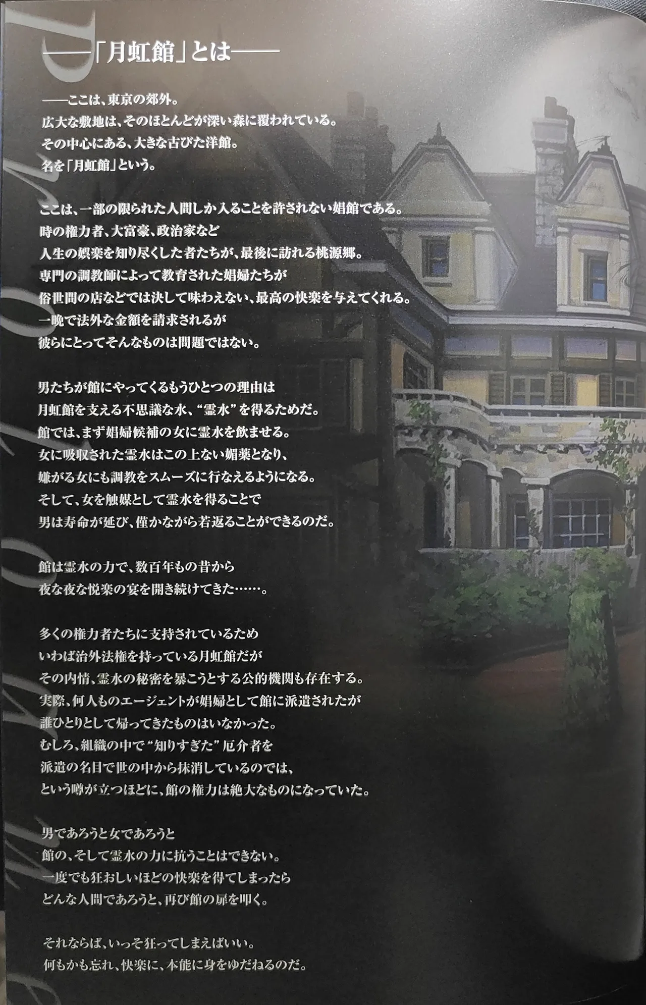 黒愛 公式ビジュアルファンブック 一夜妻館実録 page 12 full