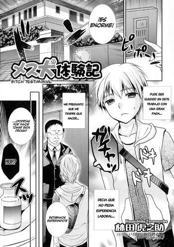 [Hayashida Toranosuke] Mesuinu Taikenki | Bitch Testimonial (Nyotaika Happiness!) [Spanish] [TF Scans] cover
