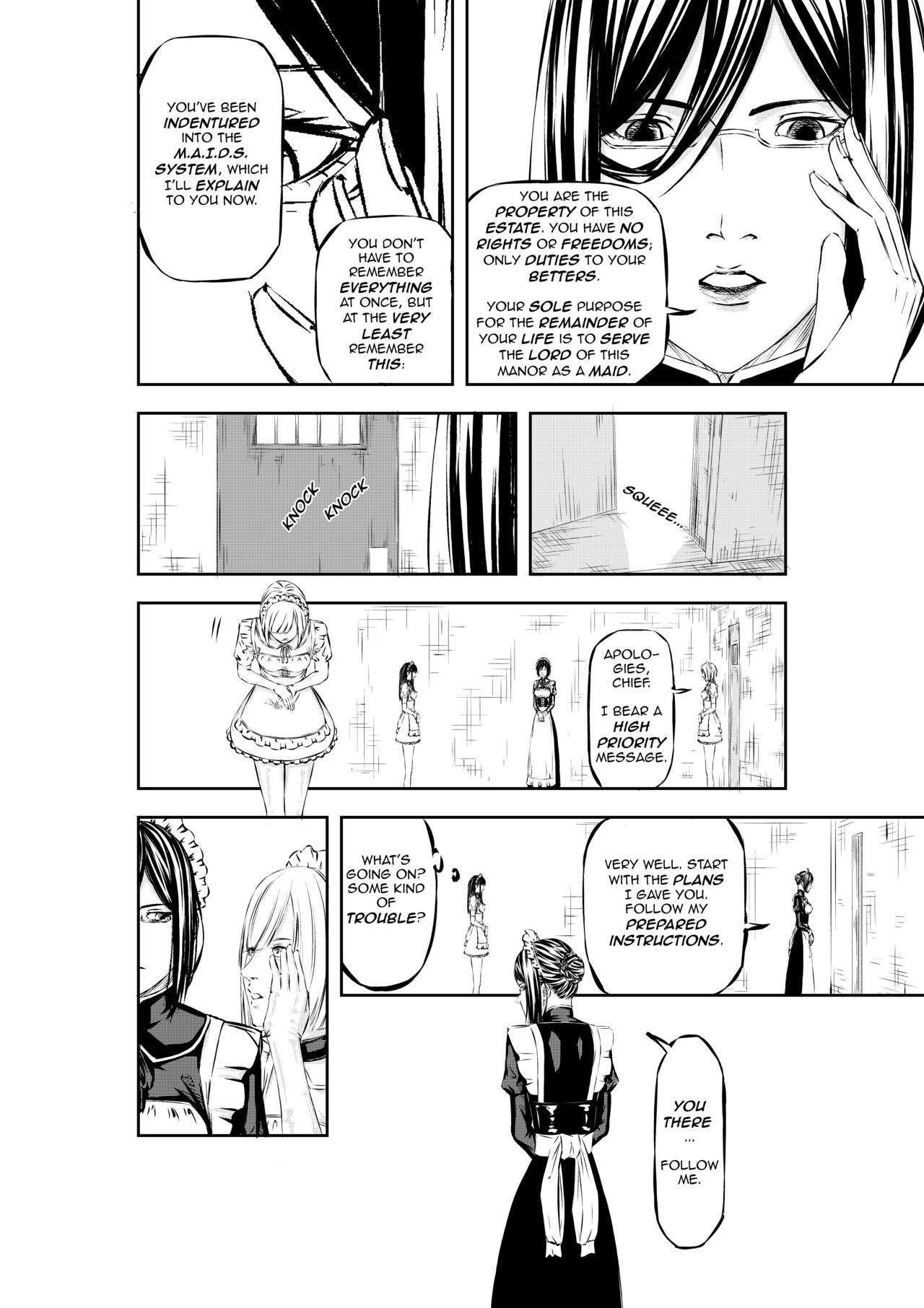 M.A.I.D.S. System page 12 full