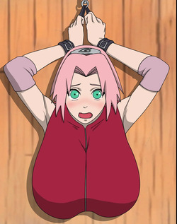 Sakura Stuck In Wall
