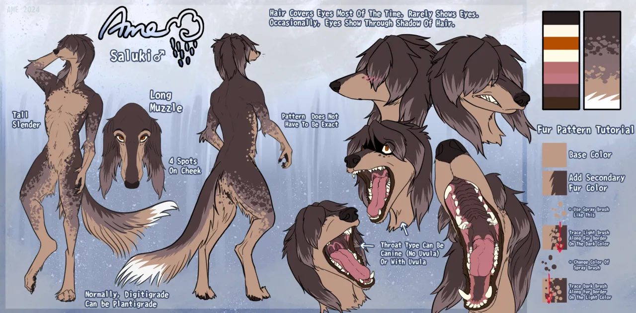 Ame page 11 full