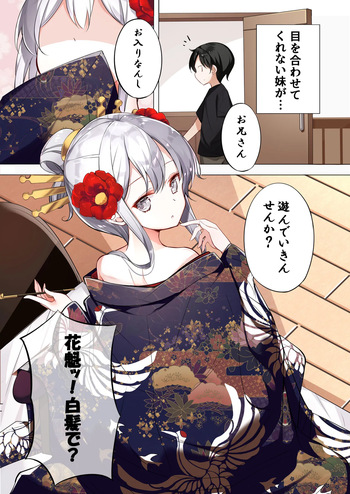 はまけん。花魁の妹が一日一回しか目を合わせてくれない。 cover