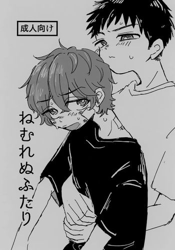 (BURST OUT 15) [Torigata no Pan (Uguwo)] Nemurenu Futari (Slam Dunk) cover