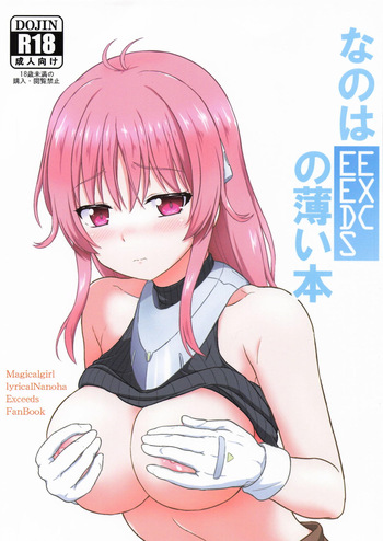 [朽木ノ洞 (エンマコオロギ)] なのはEXCEEDSの薄い本 (魔法少女リリカルなのは) cover